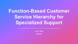 Function Based Customer Service Hierarchy For Specialized Support PPT Sample AT