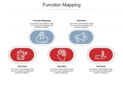 Function mapping ppt powerpoint presentation professional layout ideas cpb