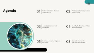 Function Of Peroxisomes In Cellular Processes PPT Presentation AT Good Interactive