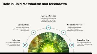 Function Of Peroxisomes In Cellular Processes PPT Presentation AT Impactful Interactive