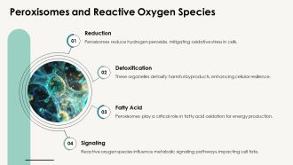 Function Of Peroxisomes In Cellular Processes PPT Presentation AT Downloadable Interactive