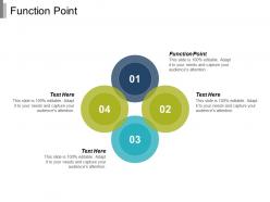 Function point ppt powerpoint presentation infographic template visuals cpb