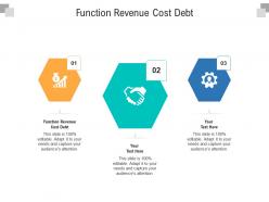 Function revenue cost debt ppt powerpoint presentation professional information cpb