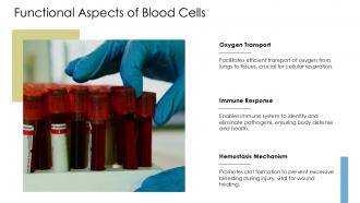 Functional Aspects Of Blood Cells Hematopoiesis And Erythropoiesis PPT Information ACP
