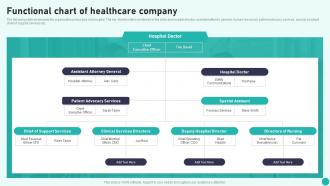 Functional Chart Of Healthcare Company Introduction To Medical And Health