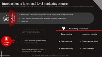 Functional Level Strategy Powerpoint Presentation Slides Strategy CD Analytical Pre-designed