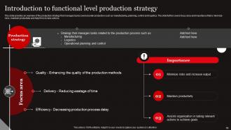 Functional Level Strategy Powerpoint Presentation Slides Strategy CD Editable Template