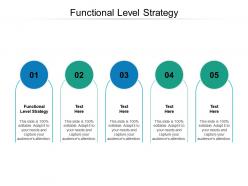 Functional level strategy ppt powerpoint presentation portfolio graphics cpb