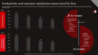 Functional Level Strategy Productivity And Customer Satisfaction Issues Faced By Firm Strategy SS