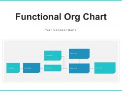 Functional org chart department administrator resource recruitment organization