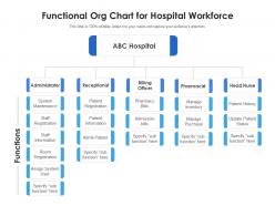 Functional org chart for hospital workforce