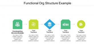 Functional org structure example ppt powerpoint presentation infographics designs download cpb