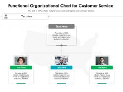 Functional organizational chart for customer service infographic template