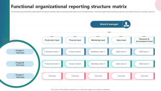 Functional Organizational Reporting Structure Matrix