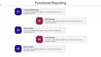 Functional Reporting Ppt Powerpoint Presentation Inspiration Summary Cpb