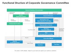 Functional structure of corporate governance committee