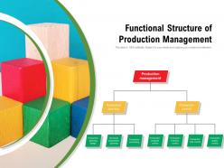 Functional structure of production management