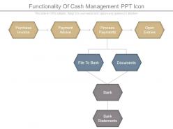 Functionality of cash management ppt icon