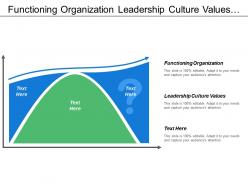 Functioning organization leadership culture values cost budget management