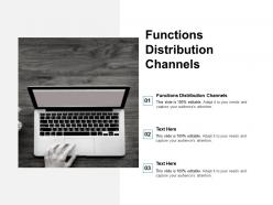 Functions distribution channels ppt powerpoint presentation infographic template graphics cpb