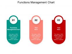 Functions management chart ppt powerpoint presentation inspiration vector cpb