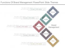 Functions of brand management powerpoint slide themes