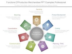 Functions Of Production Merchandiser Ppt Examples Professional
