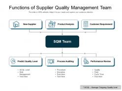 Functions of supplier quality management team