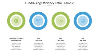 Fundraising Efficiency Ratio Example Ppt Powerpoint Presentation Infographic Cpb