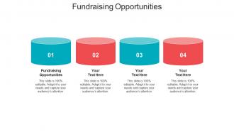 Fundraising opportunities ppt powerpoint presentation portfolio tips cpb