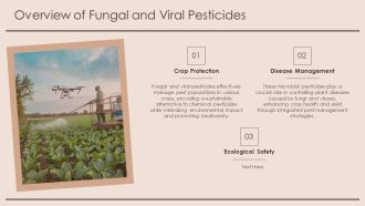 Fungal And Viral Microbial Pesticides Mechanisms PPT Slides AT Visual Colorful