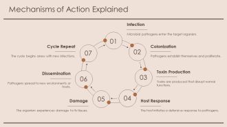 Fungal And Viral Microbial Pesticides Mechanisms PPT Slides AT Appealing Colorful