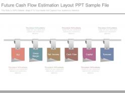 Future cash flow estimation layout ppt sample file