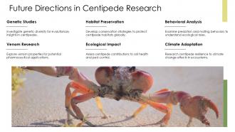 Future Directions In Centipede Research PPT Summary ACP