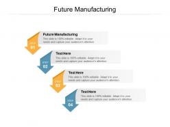 Future manufacturing ppt powerpoint presentation portfolio design templates cpb