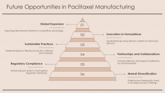 Future Opportunities In Paclitaxel Manufacturing PPT Guidelines ACP