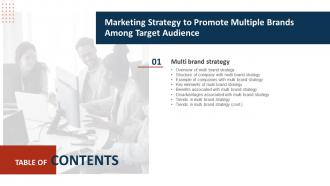 G75 Table Of Contents Marketing Strategy To Promote Multiple Brands Among Target Audience