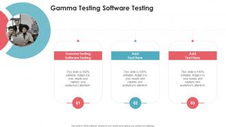Gamma Testing Software Testing In Powerpoint And Google Slides Cpb
