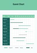 Gannt Chart Change Management Proposal One Pager Sample Example Document