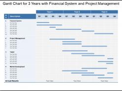 Gantt chart for 3 years with financial system and project management