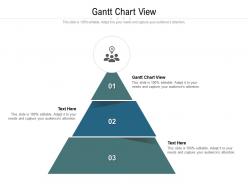 Gantt chart view ppt powerpoint presentation gallery elements cpb