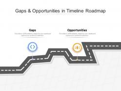 Gaps and opportunities in timeline roadmap