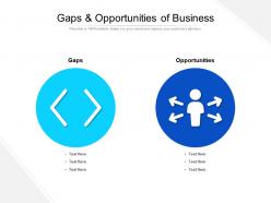 Gaps And Opportunities Of Business