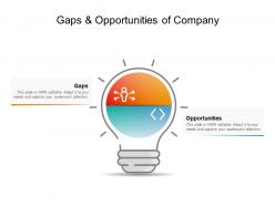 Gaps and opportunities of company