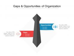 Gaps and opportunities of organization