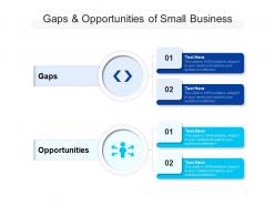 Gaps and opportunities of small business