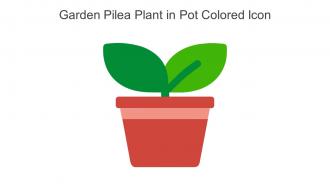 Garden Pilea Plant In Pot Colored Icon In Powerpoint Pptx Png And Editable Eps Format