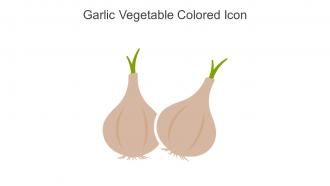 Garlic Vegetable Colored Icon In Powerpoint Pptx Png And Editable Eps Format
