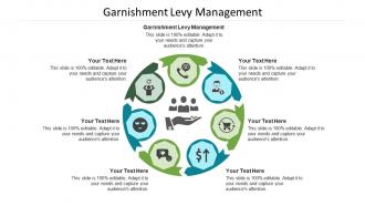 Garnishment levy management ppt powerpoint presentation outline styles cpb