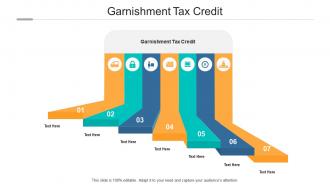 Garnishment tax credit ppt powerpoint presentation file clipart cpb